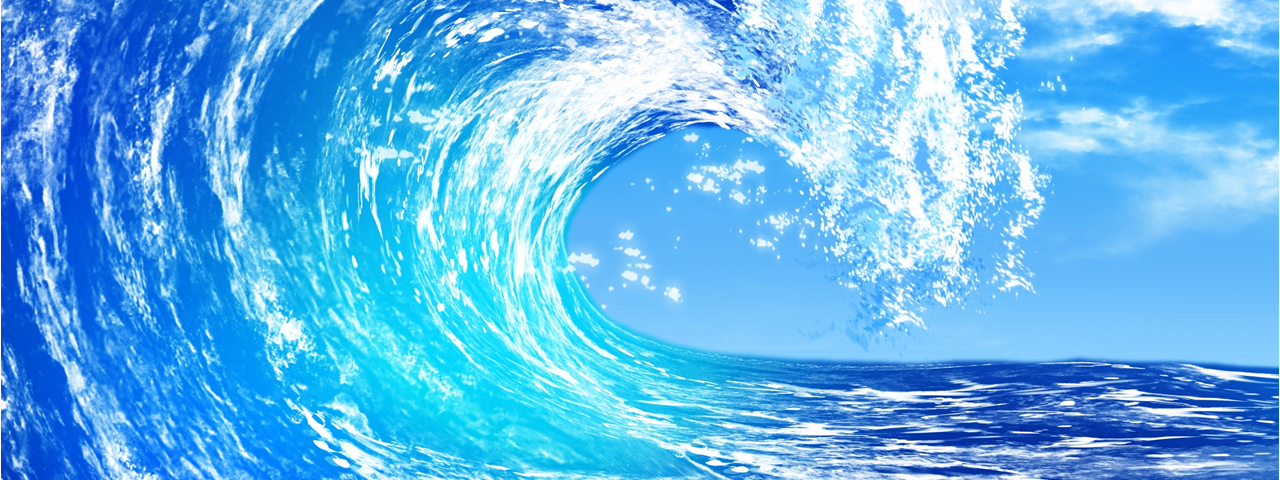 知多トーヨー住器株式会社の会社概要